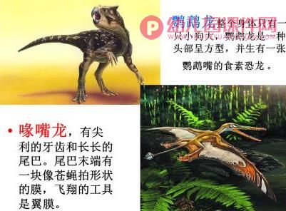 中班科学课件PPT《恐龙总动员》PPT课件图片