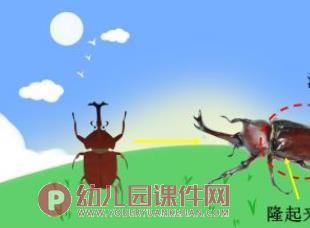 中班科学课件PPT《神奇的圆形》PPT课件图片