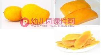 中班科学活动课件PPT《水果和水果干》PPT课件图片