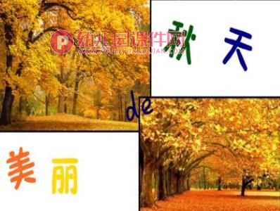 中班科学课件PPT《秋冬的树》PPT课件图片