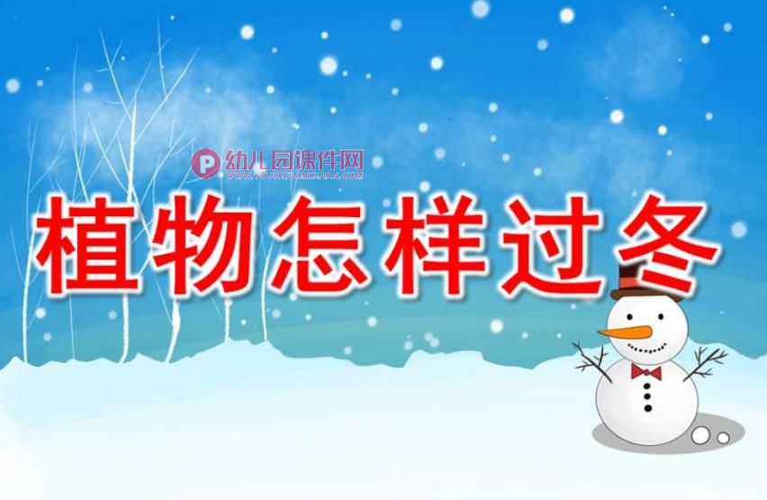 中班科学课件PPT《植物过冬》PPT课件图片