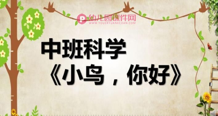中班科学课件PPT《小鸟，你好》PPT课件图片