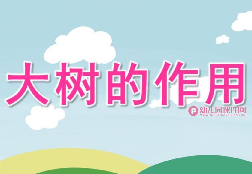 中班科学课件PPT《大树的作用》PPT课件图片