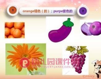 中班科学课件PPT《颜色的世界》PPT课件图片