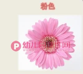 中班科学课件PPT《大红花》PPT课件图片