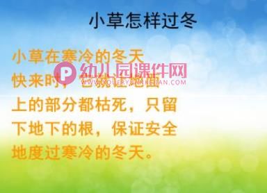 中班科学课件PPT《植物过冬》PPT课件图片