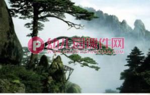 中班科学课件PPT《冬天的树》PPT课件图片