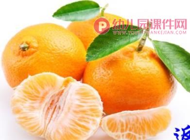 中班科学活动课件PPT《各种各样的水果》PPT课件图片