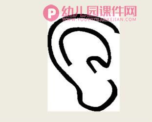 中班科学课件PPT《五官本领大》PPT课件图片