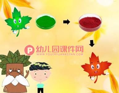 中班科学活动课件PPT《秋天的树》PPT课件图片