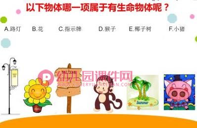 中班科学课件PPT《有生命和无生命的物体》PPT课件图片