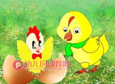 中班科学课件PPT《小鸡出壳了》PPT课件图片