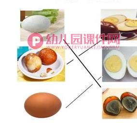 中班科学课件PPT《三色蛋-蛋是什么？》PPT课件图片