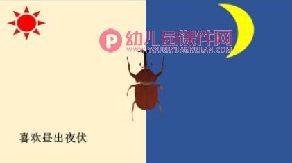 中班科学课件PPT《神奇的圆形》PPT课件图片