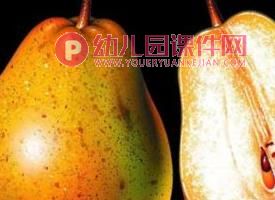 中班科学活动课件PPT《种子在哪里》PPT课件图片