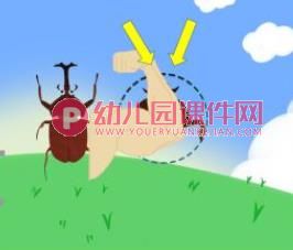 中班科学课件PPT《神奇的圆形》PPT课件图片