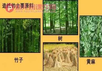 中班科学课件PPT《纸的一家 纸的作用》PPT课件图片