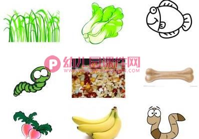 中班科学课件PPT《饲养员请客》PPT课件图片