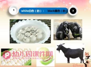 中班科学课件PPT《颜色的世界》PPT课件图片