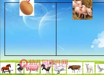 中班科学课件PPT《饲养员请客》PPT课件图片