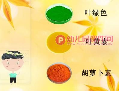 中班科学活动课件PPT《秋天的树》PPT课件图片