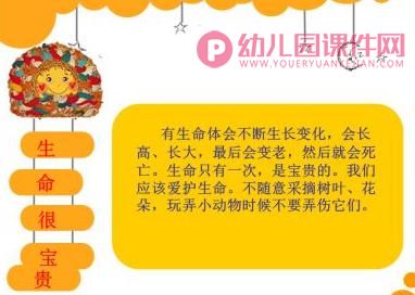 中班科学课件PPT《有生命和无生命的物体》PPT课件图片
