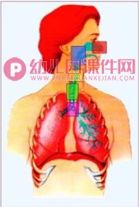 中班科学课件PPT《让空气更干净》PPT课件图片