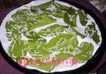 中班科学课件PPT《可爱的蚕》PPT课件图片