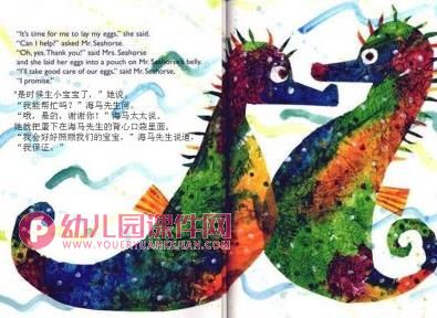 中班科学课件PPT《海马爸爸生宝宝》PPT课件图片