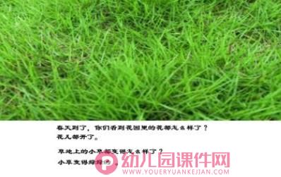 中班科学课件PPT《青青小草》PPT课件图片