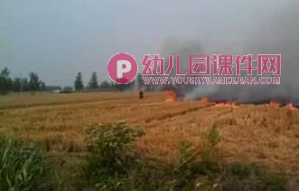 中班科学课件PPT《让空气更干净》PPT课件图片