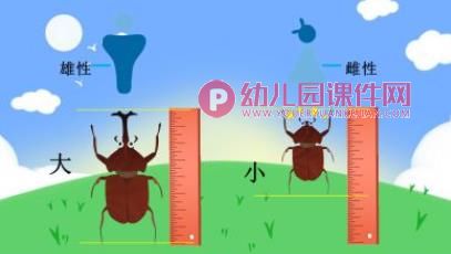 中班科学课件PPT《神奇的圆形》PPT课件图片