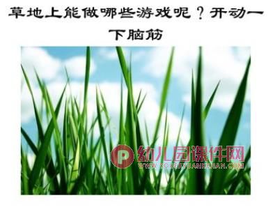 中班科学课件PPT《青青小草》PPT课件图片