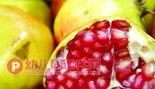 中班科学活动课件PPT《种子在哪里》PPT课件图片