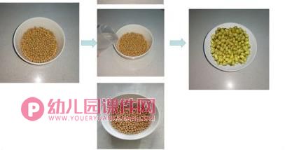 中班科学游戏课件PPT《有趣的膨胀》PPT课件打印图片