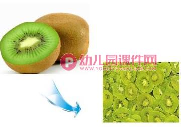 中班科学活动课件PPT《水果和水果干》PPT课件图片
