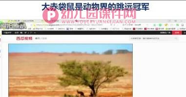 中班科学课件PPT《动物之最》PPT课件图片