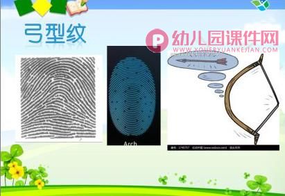 中班科学活动课件PPT《奇妙的指纹》PPT课件图片
