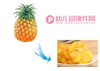 中班科学活动课件PPT《水果和水果干》PPT课件图片