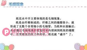 中班科学课件PPT《纸花水中开》PPT课件视频图片