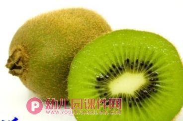 中班科学活动课件PPT《各种各样的水果》PPT课件图片