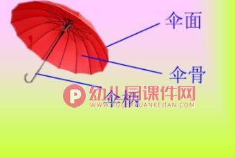 中班科学课件PPT《大蘑菇》PPT课件图片