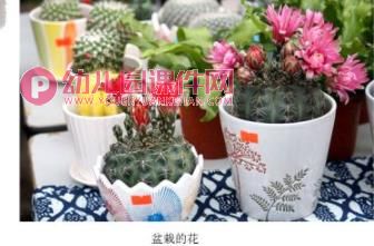 中班科学课件PPT《大红花》PPT课件图片
