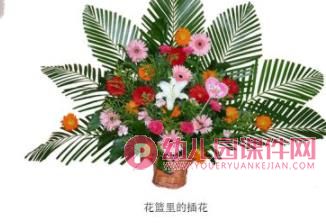 中班科学课件PPT《大红花》PPT课件图片
