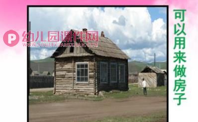中班科学课件PPT《大树的作用》PPT课件图片