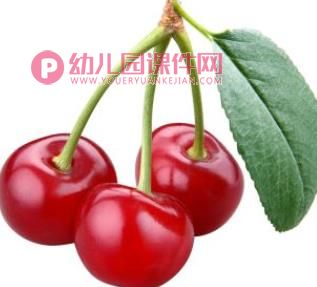 中班科学活动课件PPT《各种各样的水果》PPT课件图片