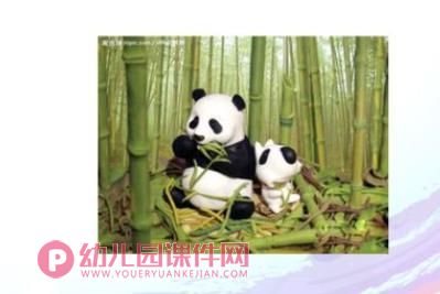 中班科学课件PPT《国宝大熊猫》PPT课件图片