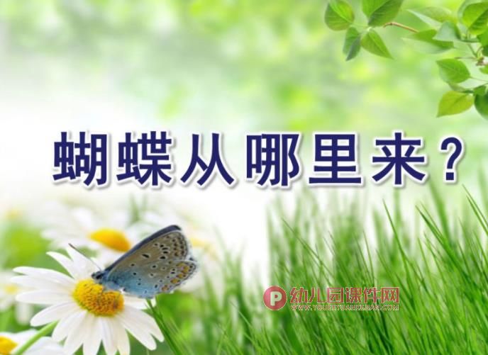 中班科学课件PPT《蝴蝶从哪里来？》PPT课件图片