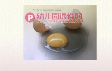 中班科学课件PPT《三色蛋-蛋是什么？》PPT课件图片