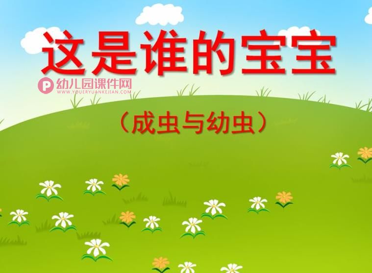 中班科学课件PPT《这是谁的宝宝（成虫与幼虫）》PPT课件图片